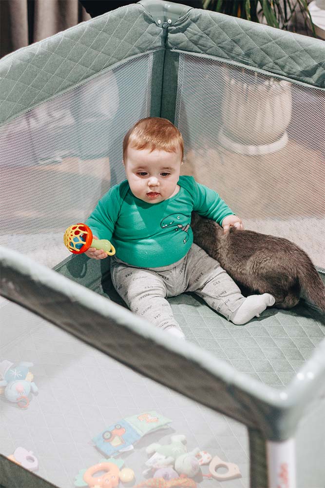 Laufstall und Mythen: Gespräch mit dem Skeptiker 2