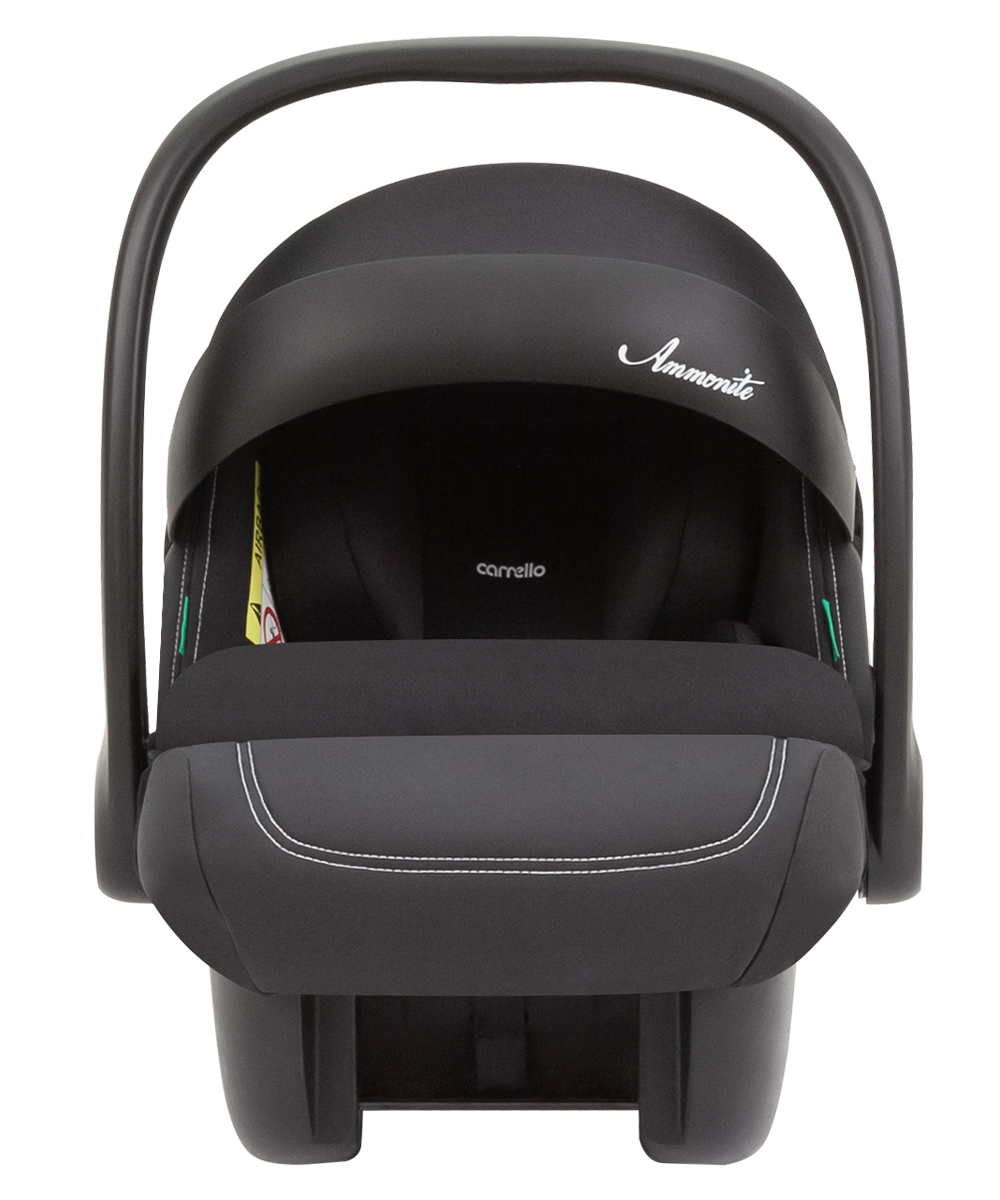 Autositz Ammonite + base 1