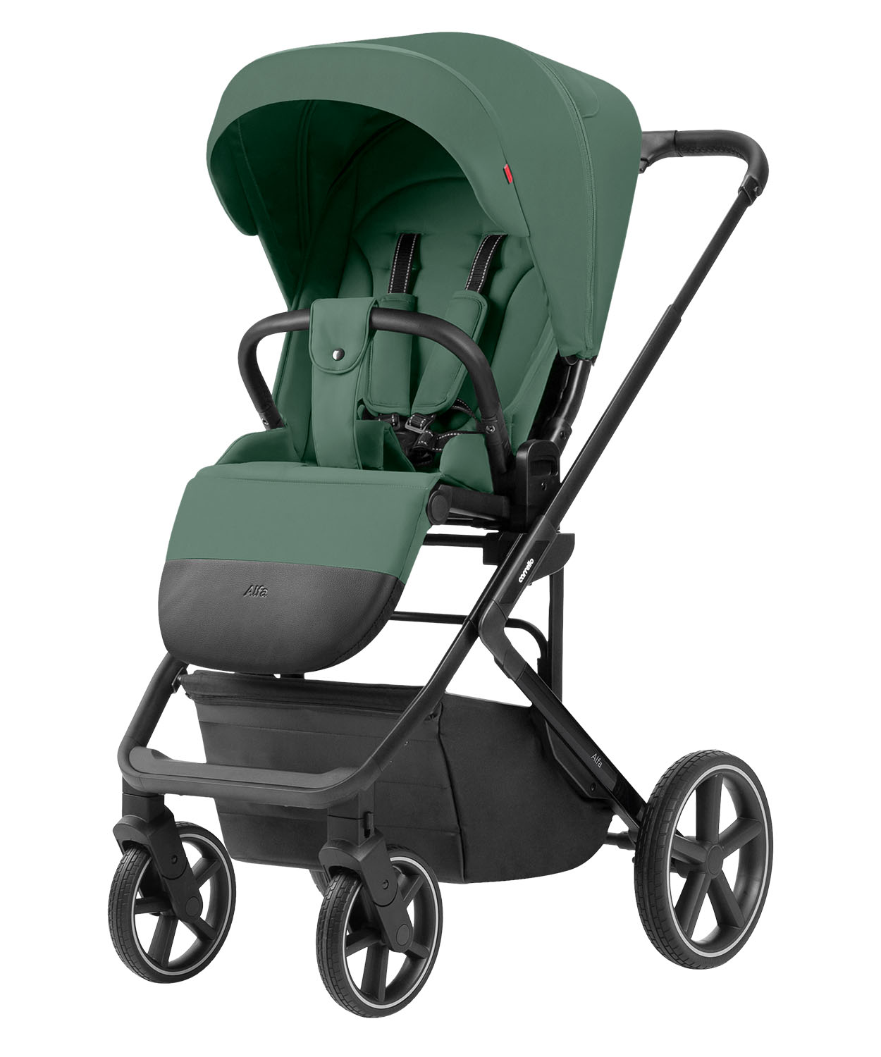 Alfa Universal Kinderwagen 2 in 1 10