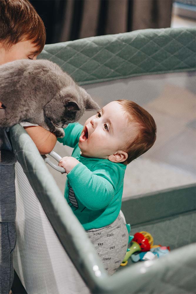 Laufstall und Mythen: Ein Gespräch mit einem Skeptiker 1