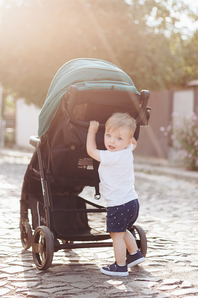 Wie man sich um Kinderwagen kümmert: Eine Lektion von Carrello 7